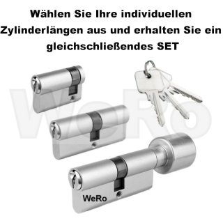 https://www.wero-online.de/media/image/product/6490/md/schliesszylinder-fuer-gleichschliessendes-set.jpg